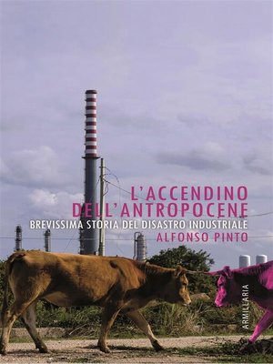 cover image of L'accendino dell'Antropocene